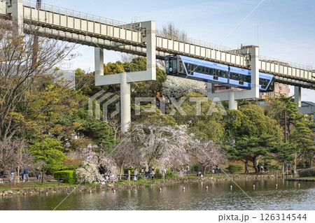 千葉公園 千葉公園 126314544