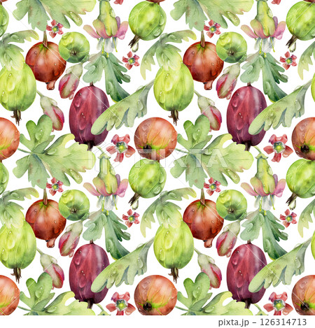 Gooseberry Currant garden berries leaves flowers scattered in water dew drops hand drawn in watercolor. Seamless isolated pattern tile. Home preserves, textile, food store decor, wrapping gift paper 126314713