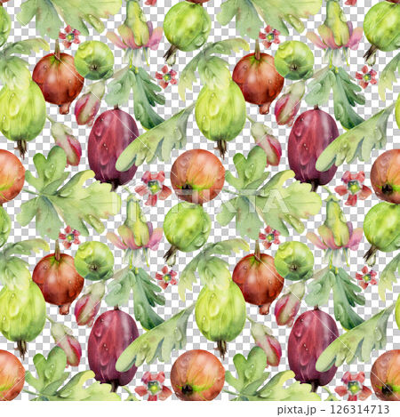 Gooseberry Currant garden berries leaves flowers scattered in water dew drops hand drawn in watercolor. Seamless isolated pattern tile. Home preserves, textile, food store decor, wrapping gift paper 126314713