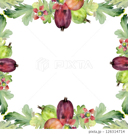 Gooseberry bell flower buds leaves, ripe garden berries. Currant casseille huckleberry jostaberry hand drawn in watercolor. Isolated square border frame illustration. Wedding stationery, florist shop 126314714