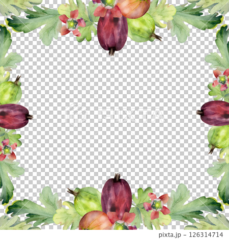 Gooseberry bell flower buds leaves, ripe garden berries. Currant casseille huckleberry jostaberry hand drawn in watercolor. Isolated square border frame illustration. Wedding stationery, florist shop 126314714