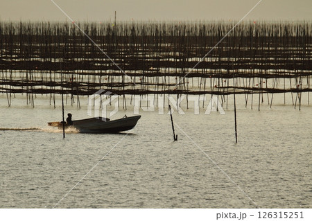 大牟田市　有明海　海苔畑の夕暮れ、 126315251