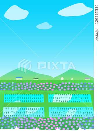 田んぼと紫陽花のある風景イラスト 126315530