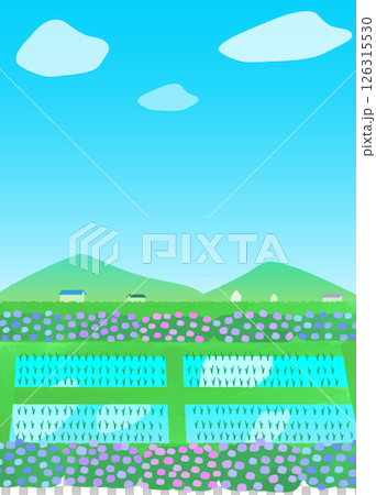 田んぼと紫陽花のある風景イラスト 126315530