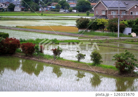水田の風景 126315670