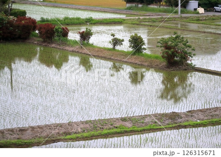 水田の風景 126315671