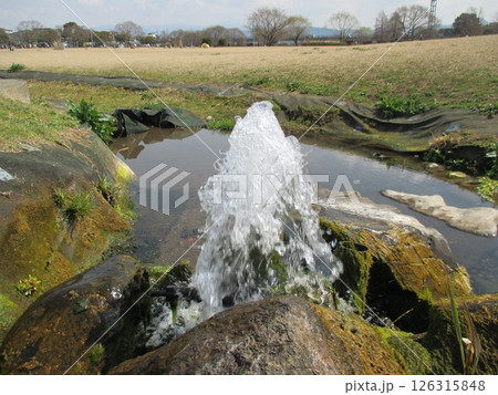 熊本市東区広木町、水前寺江津湖公園の下江津湖エリアで自噴する湧水スポット 熊本市東区広木町、水前寺江津湖公園の下江津湖エリアで自噴する湧水スポット 126315848