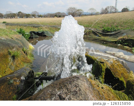 熊本市東区広木町、水前寺江津湖公園の下江津湖エリアで自噴する湧水スポット 熊本市東区広木町、水前寺江津湖公園の下江津湖エリアで自噴する湧水スポット 126315850