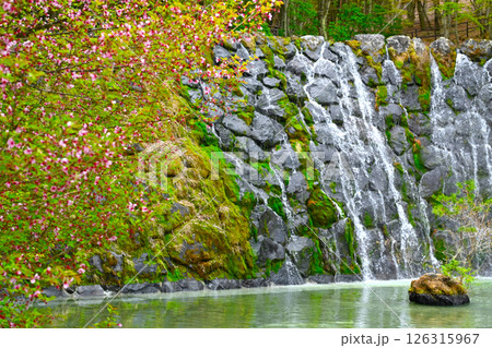 山中湖　花の都公園の景色 126315967