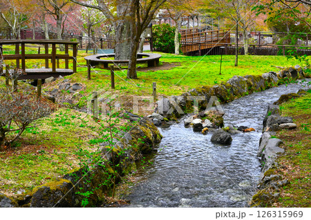山中湖　花の都公園の景色 126315969