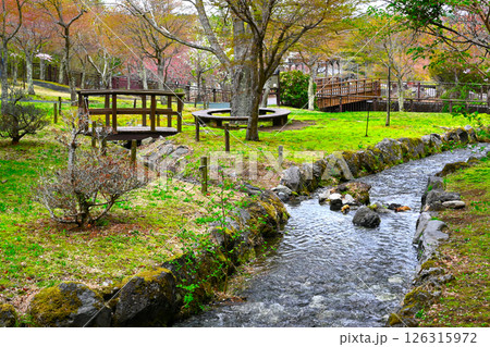 山中湖 花の都公園の景色 山中湖 花の都公園の景色 126315972