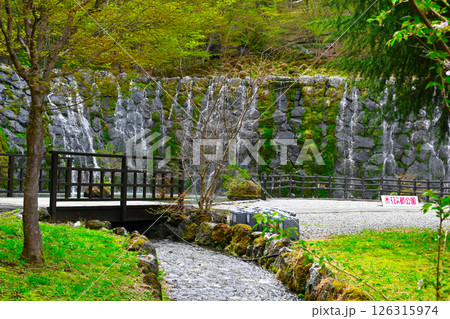 山中湖 花の都公園の景色 山中湖 花の都公園の景色 126315974