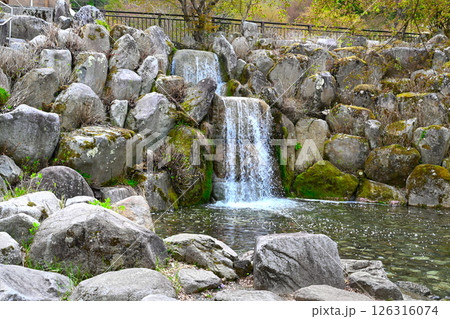 山中湖　花の都公園の景色 126316074