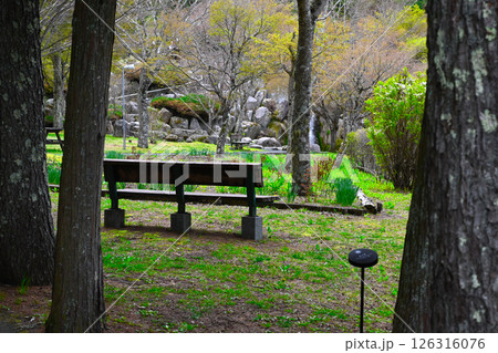 山中湖　花の都公園の景色 126316076