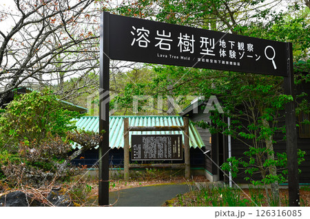 山中湖　花の都公園の景色 126316085