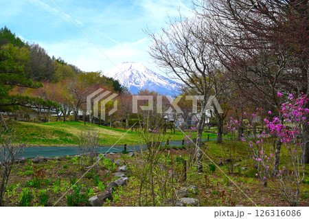 山中湖 花の都公園の景色 山中湖 花の都公園の景色 126316086