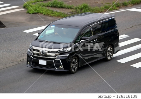 高級ミニバン 126316139