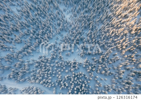 Sun beam. Top aerial view of trees covered in snow in the Carpathian mountains. Majestic background Sun beam. Top aerial view of trees covered in snow in the Carpathian mountains. Majestic background 126316174