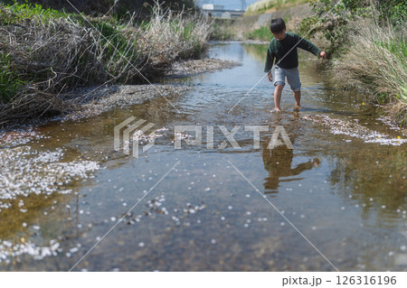 春の日差しの中川遊びをしている少年 126316196
