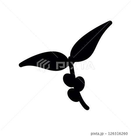 Coffee Plant Sprig with Multiple Berries and Two Attached Leaves Icon 126316260