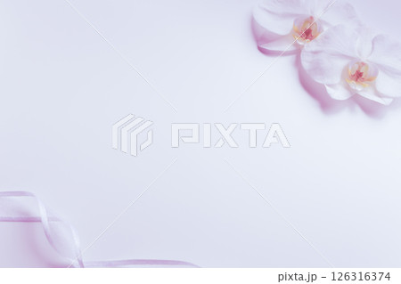 喪中はがき 胡蝶蘭 花背景 喪中はがき 胡蝶蘭 花背景 126316374