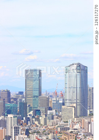 東京都港区、六本木ヒルズ森タワーと東京の街並みの風景 東京都港区、六本木ヒルズ森タワーと東京の街並みの風景 126317270