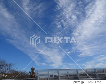 十一月の雲-10 十一月の雲-10 126317546