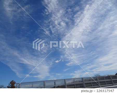 十一月の雲-11 126317547
