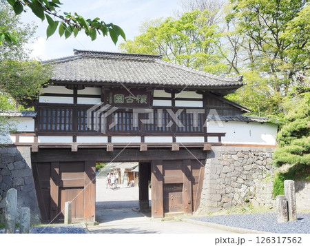 長野県 小諸城址 三の門 5月 長野県 小諸城址 三の門 5月 126317562