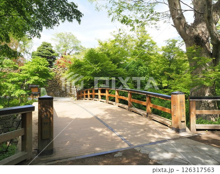 長野県 新緑の懐古園 黒門橋 5月 長野県 新緑の懐古園 黒門橋 5月 126317563