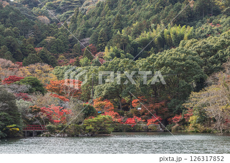 田原市にある滝頭公園の秋の紅葉した山と池の風景(愛知県) 田原市にある滝頭公園の秋の紅葉した山と池の風景(愛知県) 126317852