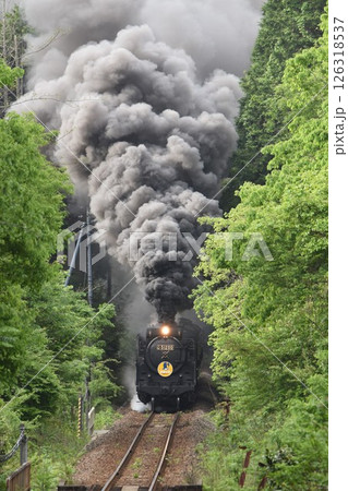 SLやまぐち号 JR山口線 上り「篠直」を爆走 SLやまぐち号 JR山口線 上り「篠直」を爆走 126318537