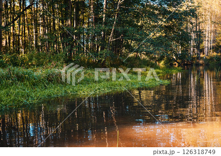 Serene Riverbank Scene with Lush Greenery Serene Riverbank Scene with Lush Greenery 126318749
