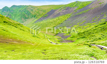 美しい夏の秋田駒ヶ岳 126318769