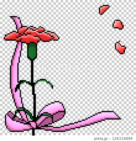 カーネーション 126318894
