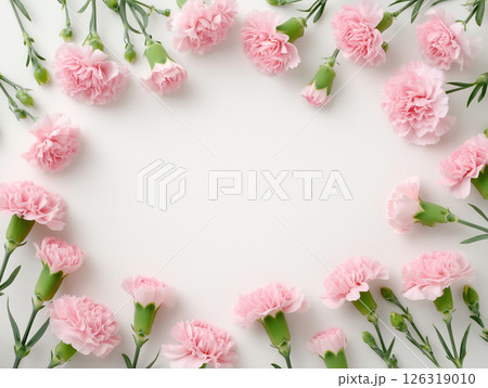 ピンクのカーネーションが囲む白背景のフレーム構図|母の日・メッセージ向け ピンクのカーネーションが囲む白背景のフレーム構図|母の日・メッセージ向け 126319010