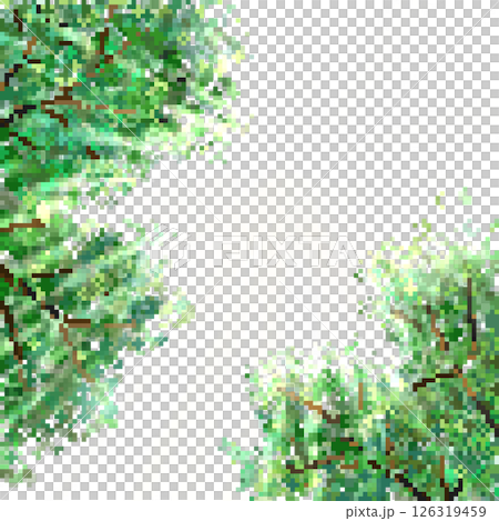 日差し 日差し 126319459