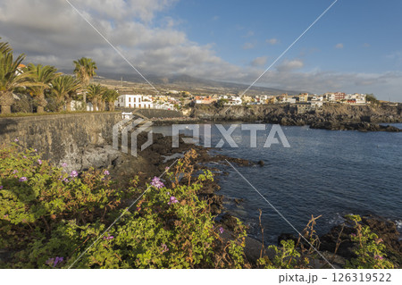 Views of the picturesque Alcala village with traditional architecture houses, small tranquil cove with beach and pier. Pink flowers in foreground, selective focus. Tenerife, Canary Islands, Spain Views of the picturesque Alcala village with traditional architecture houses, small tranquil cove with beach and pier. Pink flowers in foreground, selective focus. Tenerife, Canary Islands, Spain 126319522