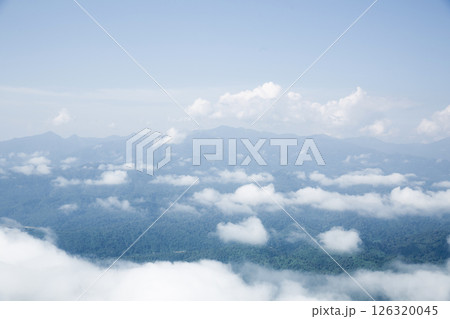 Mountain landscape. foggy morning. High angle view of trees in forest during foggy weather. Beautiful mountain and cloud natural landscape at sunrise in Thailand. evergreen coniferous forest in fog. 126320045