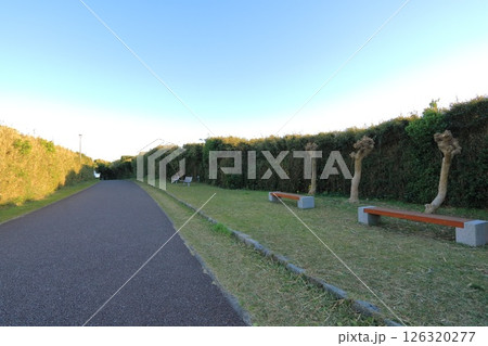 神奈川・三浦市・城ヶ島公園 126320277
