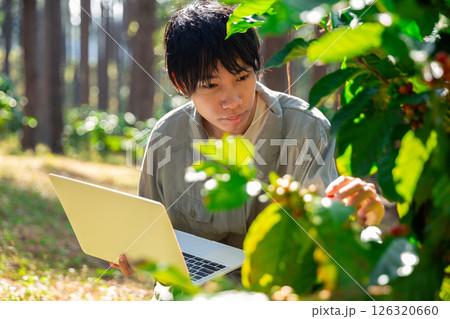 Harvest coffee bean ripe Red berries typing laptop computer check quality control plant coffee tree. Smart farmer using laptop in green coffee farm sustainable quality control agriculture technology Harvest coffee bean ripe Red berries typing laptop computer check quality control plant coffee tree. Smart farmer using laptop in green coffee farm sustainable quality control agriculture technology 126320660