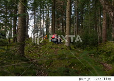 Exploring tranquility among tall trees in a serene forest during the golden hour with friends enjoying nature's embrace 126321136