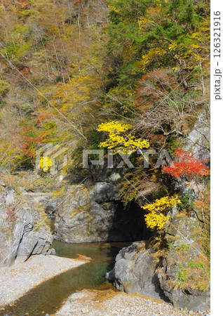 秋の奥秩父・中津峡 126321916
