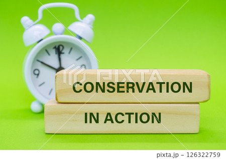 Wooden blocks with Conservation In Action text placed on green surface with alarm clock background 126322759