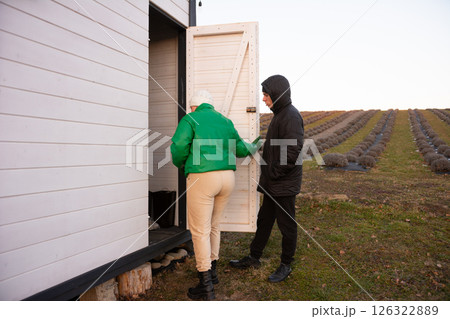 Visitors approach a rustic cabin surrounded by lavender fields at sunset, embracing the serene atmosphere and natural beauty of the countryside in late autumn Visitors approach a rustic cabin surrounded by lavender fields at sunset, embracing the serene atmosphere and natural beauty of the countryside in late autumn 126322889