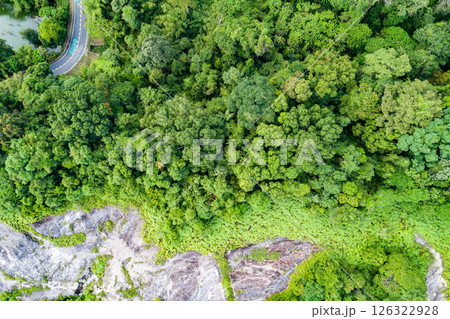 Top view green forest trees background, Beautiful green nature background 126322928