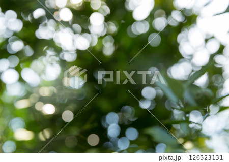 Business concept nature revolves around citrus orchard orange tree are growing, vibrant fruit organic lush leaves creating stunning background, green blur garden of thriving crop ripe laden branches 126323131