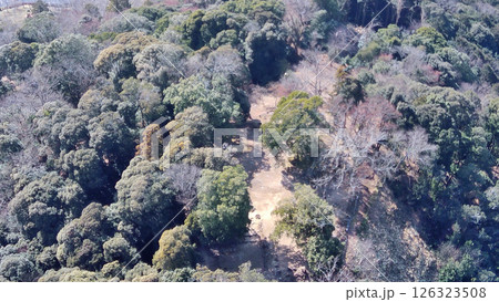 美濃金山城　空撮　本丸と曲輪の様子 126323508