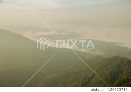 Mountain landscape. foggy morning. High angle view of trees in forest during foggy weather. Beautiful mountain and cloud natural landscape at sunrise in Thailand. evergreen coniferous forest in fog. Mountain landscape. foggy morning. High angle view of trees in forest during foggy weather. Beautiful mountain and cloud natural landscape at sunrise in Thailand. evergreen coniferous forest in fog. 126323713
