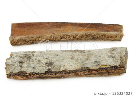 piece of aspen bark isolated on white background. 126324027
